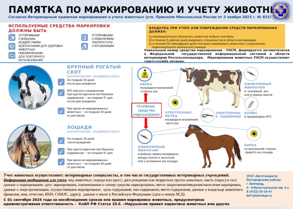 ПАМЯТКА ПО МАРКИРОВАНИЮ И УЧЁТУ ЖИВОТНЫХ.